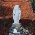 A statue of the Virgin Mary was vandalized in Burlington.